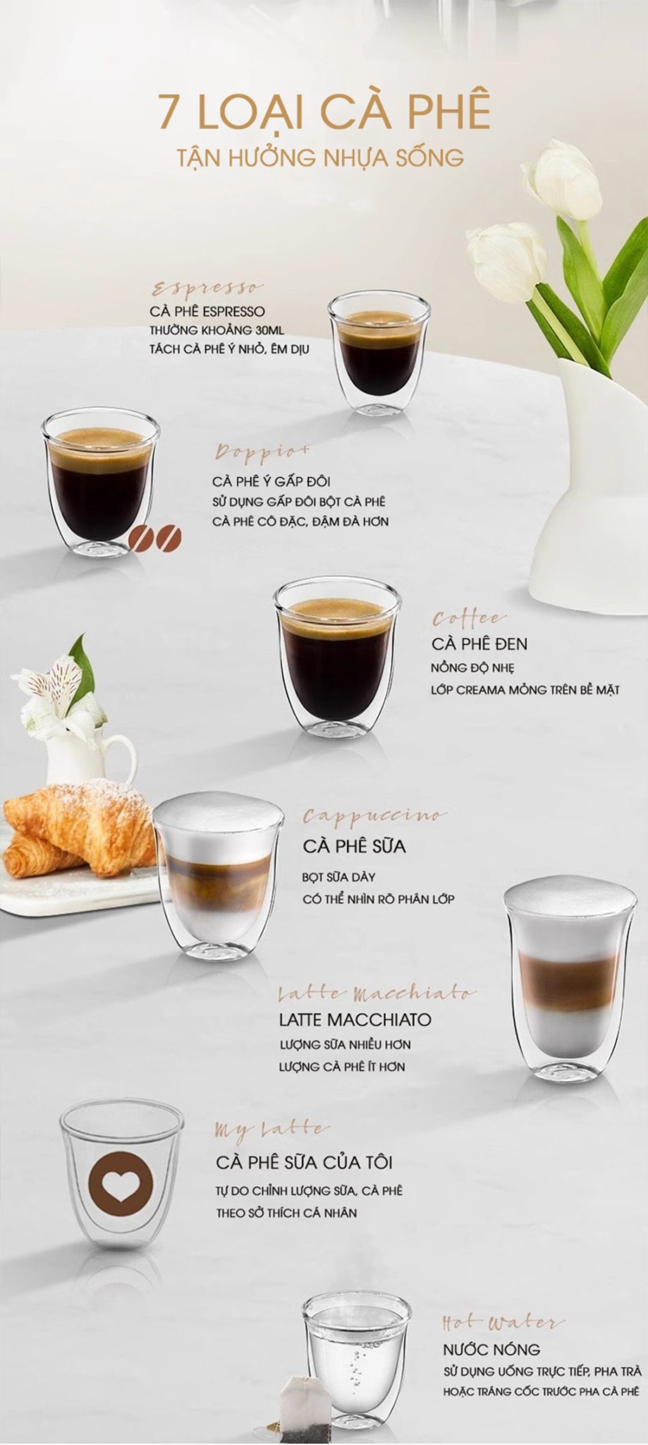 Máy pha cà phê Winci EM3102 có thể pha được đa dạng các loại cà phê
