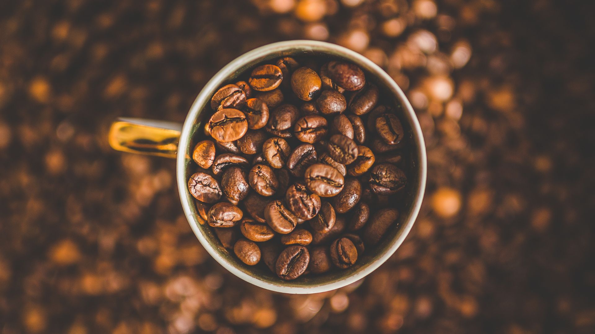 Lưu ý giữa cách pha cà phê Arabica và cách pha cà phê Robusta 