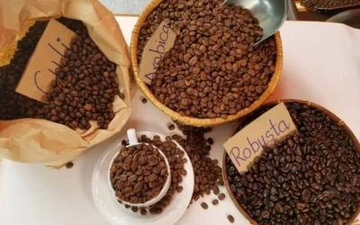 Sự khác nhau giữa 2 cách pha cà phê arabica và robusta