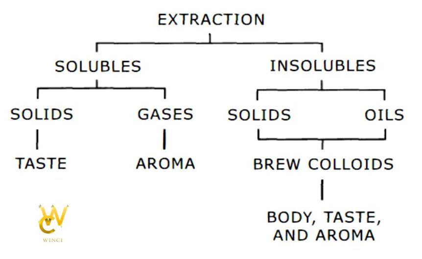 Thuật ngữ về các chất hoà tan và không hoà tan trong quá trình chiết xuất