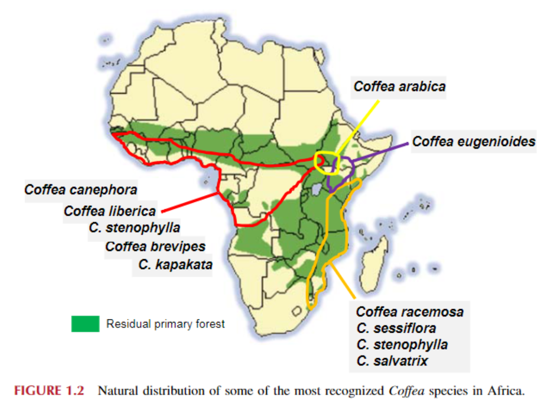 Sự phân bố tự nhiên của một số loài Cà phê được công nhận nhiều nhất ở Châu Phi.