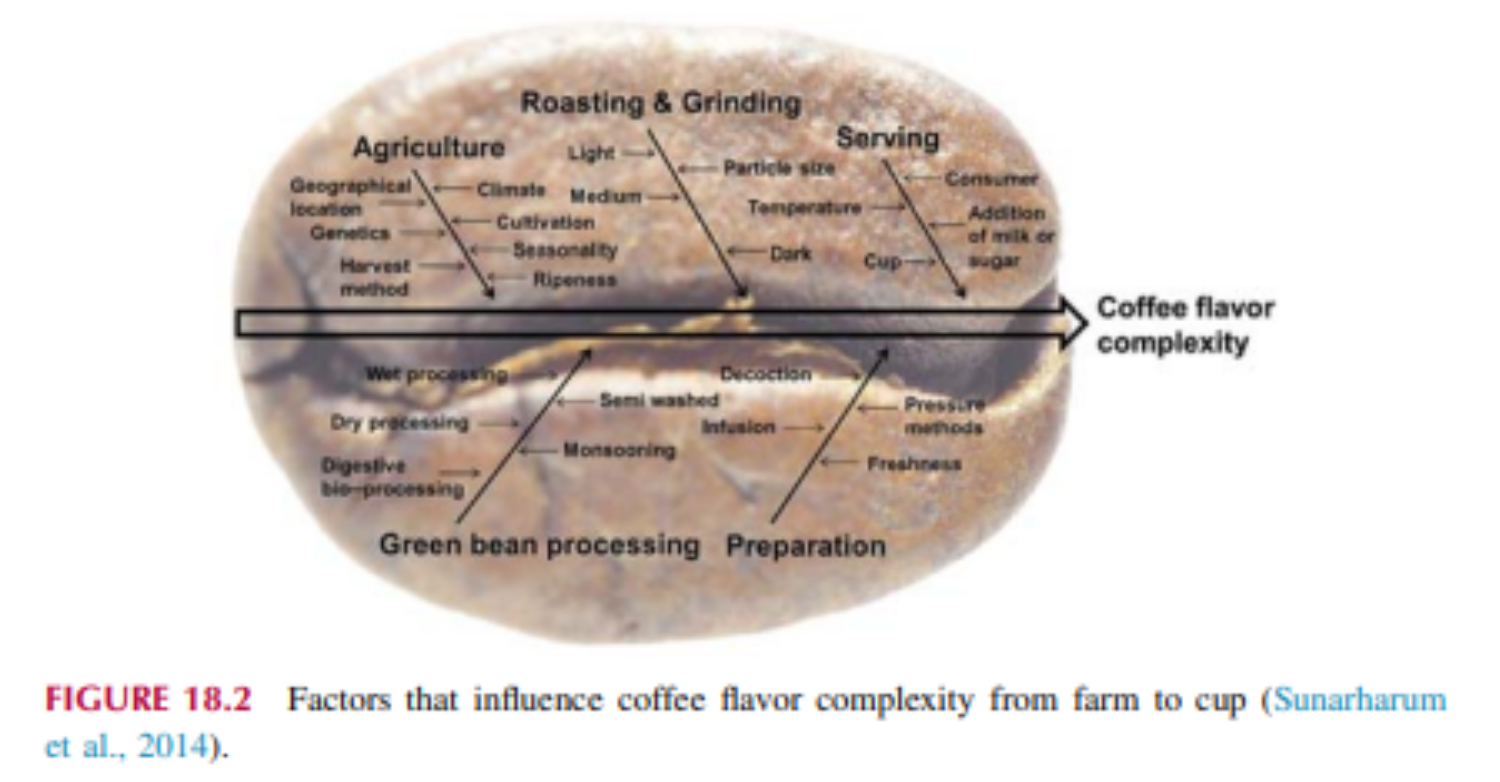 Các yếu tố ảnh hưởng đến độ phức tạp của hương vị cà phê từ trang trại đến tách cà phê