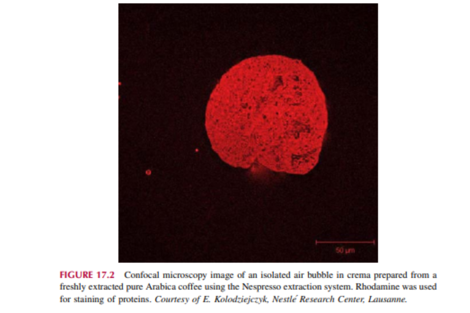 Hình ảnh kính hiển vi đồng tiêu của một bong bóng khí riêng biệt trong crema được pha chế từ cà phê Arabica nguyên chất mới chiết xuất bằng hệ thống chiết xuất Nespresso. Rhodamine được sử dụng để nhuộm protein