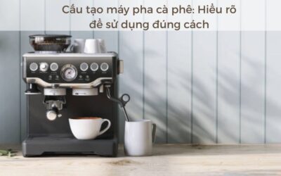 Tìm hiểu cấu tạo máy pha cà phê: Hiểu rõ để sử dụng đúng 